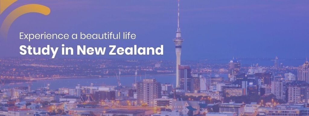 Top reasons to study in new zealand 