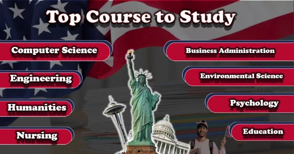 Infographic for "Top course to study for bachelor in the USA"