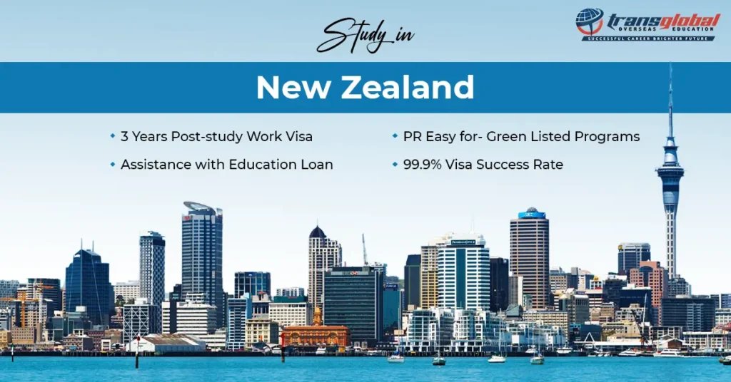 Learn why our New Zealand education consultants are the best